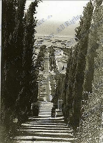 Haifa 1936